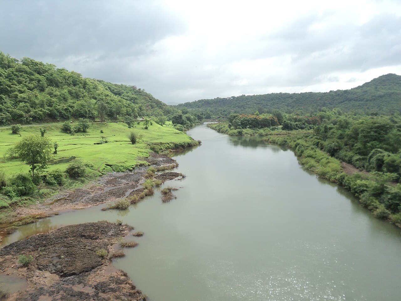 Dandeli Crocodile Canal Case: What Happened to 6-Year-Old Vinod