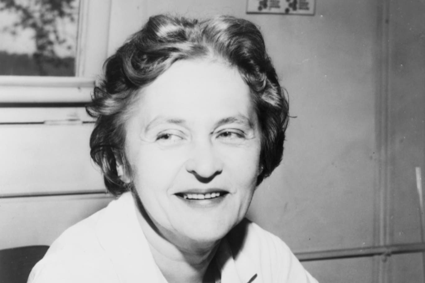 The Woman Who Could Have Saved Thousands — But One Man Kept Delaying the Contract