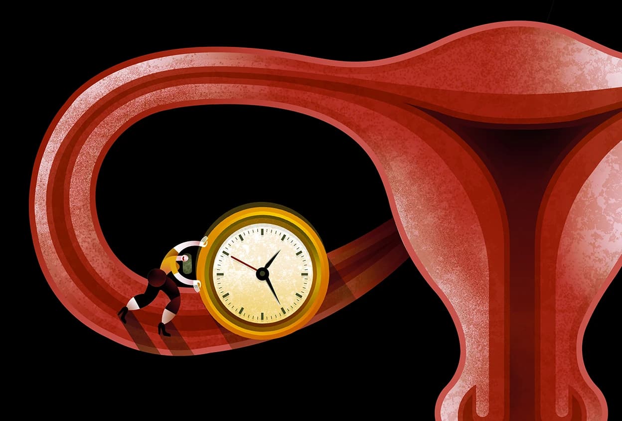 Why Menopause Hormones Scare Doctors — But the Comparison to Trans Care Misses the Point