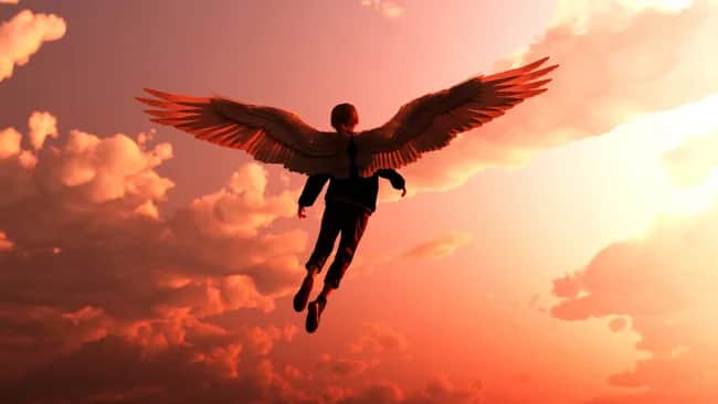 You Would Need Wings the Size of a Bus. The Science of Why Humans Can Never Fly — and What It Reveals About the Most Extraordinary Bodies That Ever Existed.