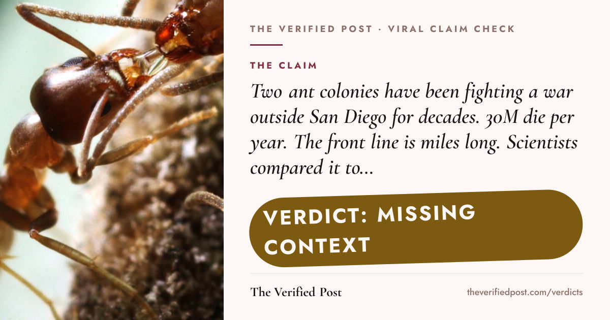 Example verdict share card: Two ant colonies have been fighting a war outside San Diego for decades. 30M die per year. The front line is miles long. Scientists compared it to World War I trench warfare.